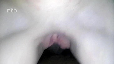 Interracial Amateur Homemade Porn with Big Black Cocks and Messy White Pussies