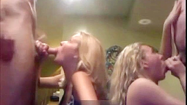 College Girl Orgy with Homemade Porn and Blowjobs